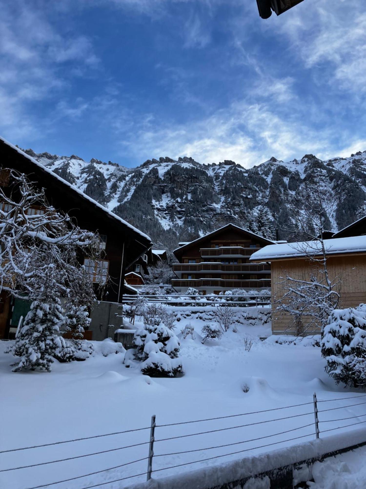 Chalet Alpina Gyger Венген Екстериор снимка